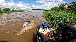 NEM ASSISTINDO A GENTE ACREDITA NA ISCA VIVA ELES PEGAVAM EMBAIXO DAS PLANTAS Pesca [upl. by Aileen124]