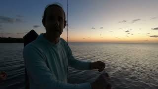 Man Catches Snapper Man Releases Snapper Tarpon Eats Snapper floridakeys 👀👀👀 [upl. by Rooker]