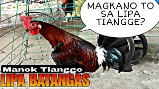 Magkano ang manok sa lipa batangas manok tiangge [upl. by Eromle808]