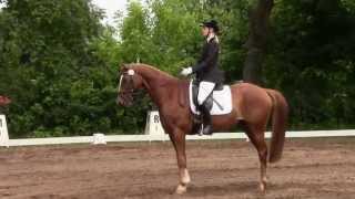 LDressur in Beesenstedt 2013  Dressur L5 [upl. by Shirleen]