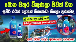 බොන වතුර විකුණලා ෆීජී රාජ්‍ය ආදායම් උපයන හැටි දන්නවද   FIJI Natural Artesian Bottled Water [upl. by Geis]