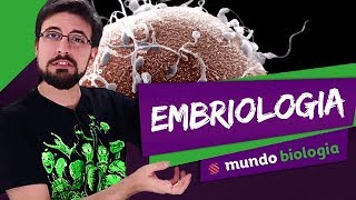 🔬 Citologia 77 Embriologia  Biologia  ENEM [upl. by Eidnim]