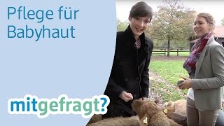 Beste Pflege für zarte Babyhaut Hinter den Kulissen von PenatenCreme  dm mitgefragt Folge 18 [upl. by Heidt]