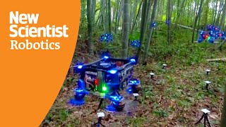 Drone swarm avoids crashing in dense forest using new algorithm [upl. by Rothschild]