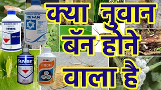 Nuvan InsecticideDichlorvas 76 ecInsecticide India Private Limited [upl. by Adlig942]