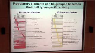 Bradley Bernstein Visualizing Epigenomics Data [upl. by Hera895]