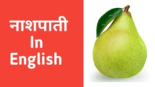 नाशपाती in English  Nashpati ko english me kya kahate hain  Nashpati को इंग्लिश में क्या कहते हैं [upl. by Legim]