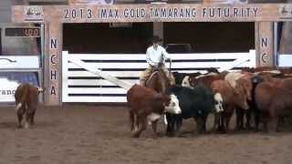 2013 NCHA Youth Cutting Todd Mulcahy amp EBs Phalaris [upl. by Gayleen626]