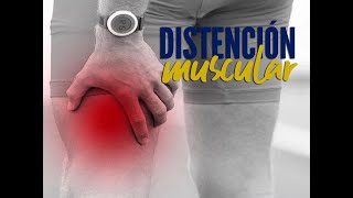 Distensión muscular  Ejercicios Terapia en casa [upl. by Ettener190]