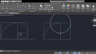 Espiral de Fibonacci [upl. by Shem714]