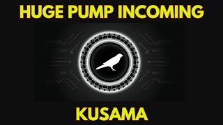 Why KUSAMA KSM will Skyrocket Soon [upl. by Ainaznat]