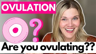 Ovulation Are You Ovulating What Are The Signs You Are Not Ovulating [upl. by Shaffer739]