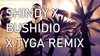 STIMULATED  SHINDY X BUSHIDO X TYGA REMIX  PROD BY DRCBEATZ [upl. by Ylrebmic]