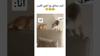 ما في رحمه 😂🤡☠️ اكسبلور ضحك ميمزضحك ميمز memes عائلة الأخوة viralvideo fypyoutube [upl. by Vesta]