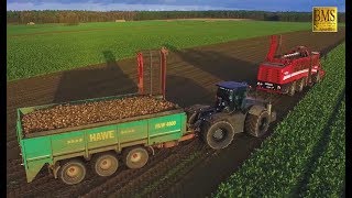 Rübenernte  Grimme Rexor 630 Holmer T3 Claas Xerion 4500 Fendt 927 BB vom LU Meyer Bösel [upl. by Eyeleen955]