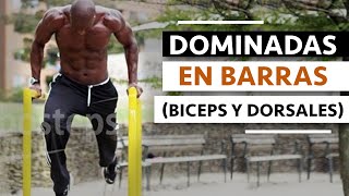 Dominadas en barras Biceps y Dorsales [upl. by Wolfort151]