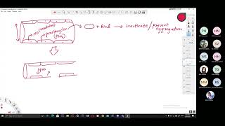 Mastering Anticoagulants Part 1 [upl. by Attenod]