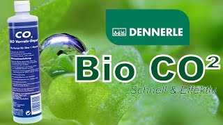 DENNERLE BioCO2 [upl. by Gibbie100]