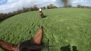 The Wynnstay Hunt Ride 2024 Bumble and Lost [upl. by Kcirdef344]