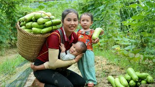 Harvest the gourds and bring them to the market to sell  cook with the children from the gourds [upl. by Sseb]