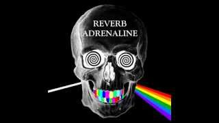 Pink Floyd cover  Fearless by Reverb Adrenaline [upl. by Oppen]