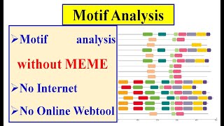 Motif Analysis  No MEME  No online tool [upl. by Shuman233]