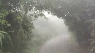 Thrilling Adventure from Bandarban to Nafakum Thanchi Sangu River [upl. by Pen882]