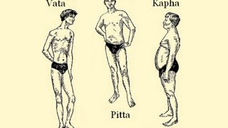 The Ayurvedic Body Types and Their Characteristics Vata Pitta Kapha [upl. by Irehs530]