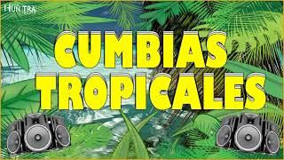 CUMBIAS TROPICALES PARA BAILAR🌻TROPICAL FLORIDAEL NEGROACAPULCO TROPICAL💃CUMBIAS TROPICAL MIX [upl. by Blalock]