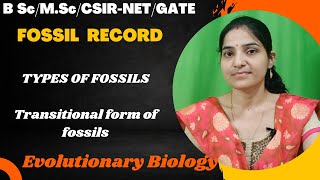 Fossil RecordTypes Of FossilsTransitional Forms Of FossilsFossil record evidences of evolution [upl. by Pournaras]