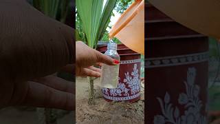 জৈব সালফার🧪🌱youtube organic compost shorts gardening sulphur [upl. by Nissie597]