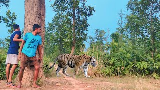 Tiger Attacks On Village Boy In Forest 2 😱 [upl. by Attelrahc456]