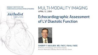 Echocardiographic Assessment of LV Diastolic Function SHERIF F NAGUEH MD April 17 2018 [upl. by Goldman]