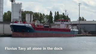 Fluvius Tavy  today’s Sharpness dock views [upl. by Icaj348]