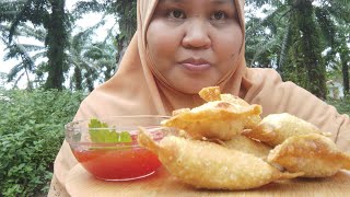 resepi buat wantan goreng by Kak Nurtip untuk frozen [upl. by Jere]