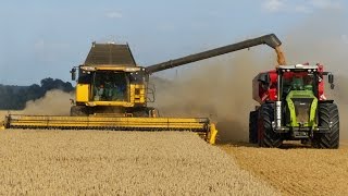 Wielkie Żniwa Stary Jaworów 2014 Milikowice  Big Harvest in Poland  5x Lexion  2x CR 9090 [upl. by Anatnahs433]