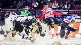 The RANKEST Bulls From Global Cup Sydney 🇦🇺 2018 [upl. by Silden]