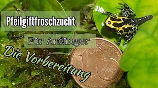 Pfeilgiftfroschzucht für Anfänger  Teil 1  die Vorbereitung [upl. by Cowles]