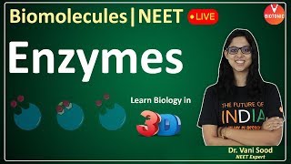 Biomolecules  Enzymes  CBSE Class 11 Biology Chapter 9  NEET 202324  Vani Maam [upl. by Karl243]