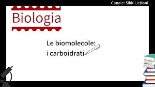 LA CHIMICA FACILE  Lezione 13  Le Biomolecole [upl. by Nuris622]