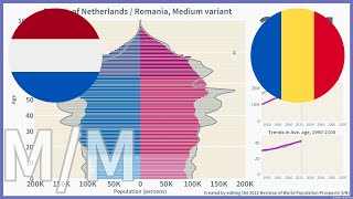 🇳🇱Netherlands vs 🇷🇴Romania Comparison of Population Pyramids 19502100  2022 Medium [upl. by Tonkin]