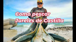 COMO PESCAR JURELES DE CASTILLA con técnicas de pesca submarina [upl. by Dygert]