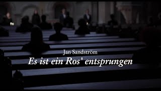 Jan SandströmMichael Praetorius Es ist ein Ros entsprungen [upl. by Edgard]