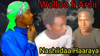 Nashiidaa Wolloo fii Arsii Foon koo [upl. by Swanhilda616]