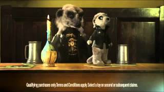 Compare the Meerkat  Advert 26 [upl. by Holihs]