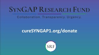 SRF  2024 UPDATE ON SYNGAP1 RESEARCH PROJECTS AT ENDD UNIVERSITY OF PENNSYLVANIA [upl. by Dru]