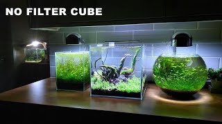 30ᶜᵐ CUBE AQUARIUM 🔴NO FILTER SETUP🔴 [upl. by Maud]