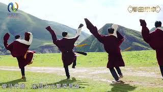 New Tibetan dance ghorsheytibetangorshey Tashi shok སྒོར་གཞས་གསར་པ། བཀྲ་ཤིས་ཤོག་ [upl. by Nosa]