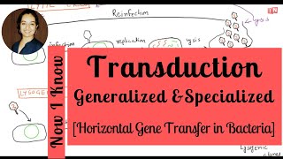 Bacterial Transduction Generalized amp Specialized – Horizontal Gene Transfer Part – III [upl. by Piscatelli686]