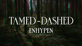 Enhypen  TamedDashed eng lyrics [upl. by Eyahs]